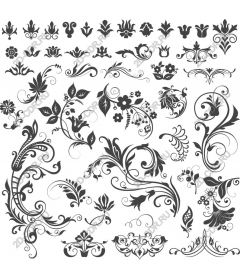  Elegant floral collection
