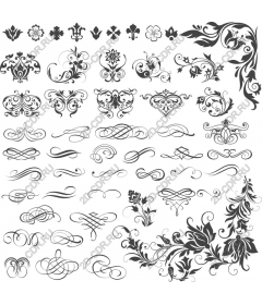  Collection "Ornamental elegance"