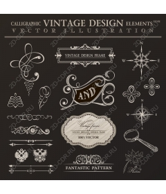  Collection of calligraphic vintage elements - 100%