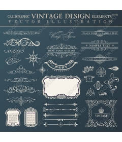  Calligraphic vintage elements XXVIII - Elegant