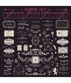  Calligraphic vintage design elements set