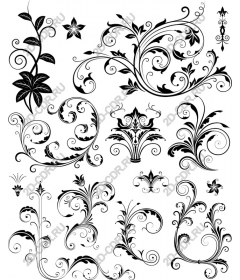 Set of decorative floral elements