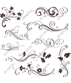  Elegant set of floral scrolls and decorative vines