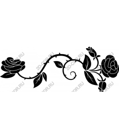  Elegant rose vine