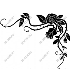  Elegant rose vine