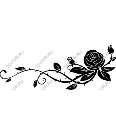  Elegant black rose