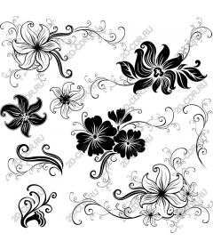  Elegant floral set