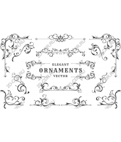  Collection of elegant jewelry