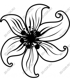  Elegant floral