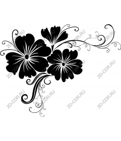  Black floral hibiscus