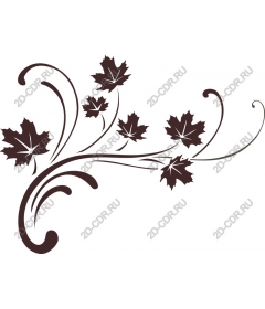  Autumn elegance, swirl of leaves