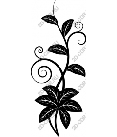  Elegant black vine leaf