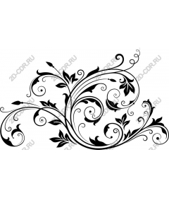  Elegant floral pattern