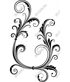  Elegant floral pattern with curls