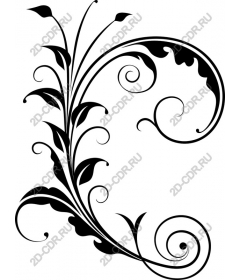  Elegant floral swirls