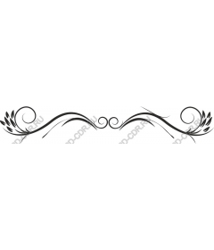 Elegant floral ornament