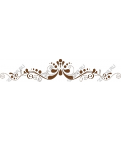  Elegant decorative border