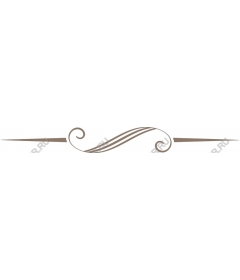  Elegant decorative border