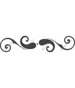  Elegant vortex
