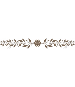  Elegant floral divider
