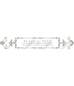  Elegant custom border