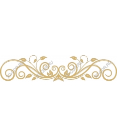  Elegant floral ornament