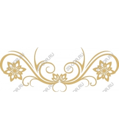  Elegant floral ornament