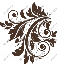  Elegant floral pattern