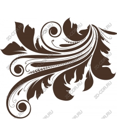  Elegant floral pattern