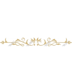  Universal Elegant