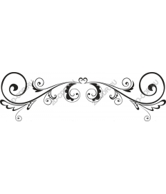 Elegant decorative flourish