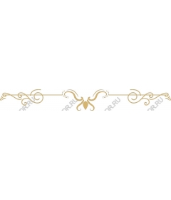  Elegant decorative flourish