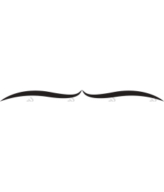  Elegant stylized mustache