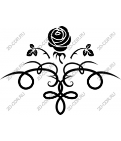 Exquisite rose