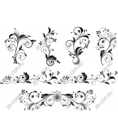  Elegant floral collection