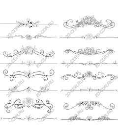  Collection of Floral borders Elegance