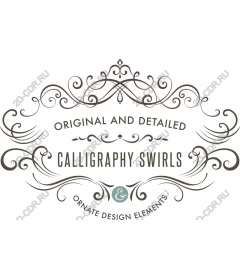  Calligraphic swirls - elegant elements