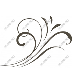  Elegant vortex