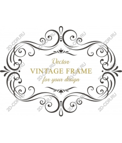 Exquisite vintage frame for an elegant