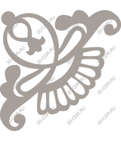  Elegant butterfly