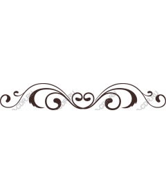 Elegant decorative flourish