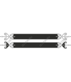 Vintage elegant frame