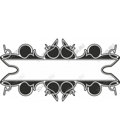  Elegant decorative frame