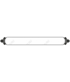 Elegant vintage frame