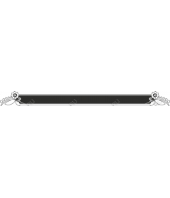  Elegant floral frame