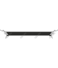  Elegant floral border