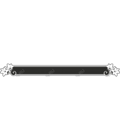  Elegant floral border
