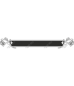  Elegant floral frame and