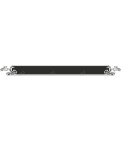  Elegant decorative border