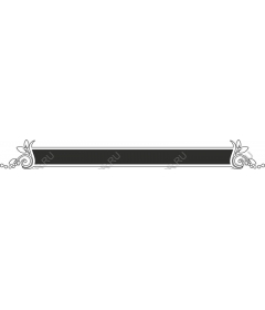  Elegant floral frame